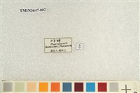 可禮大蟬藏品圖，第4張